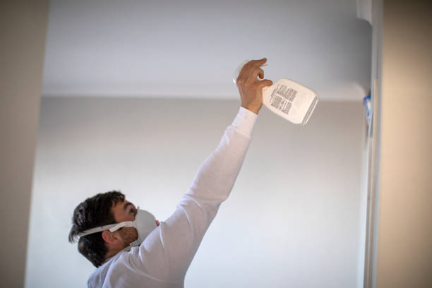 Best White Mold Remediation in Tye, TX