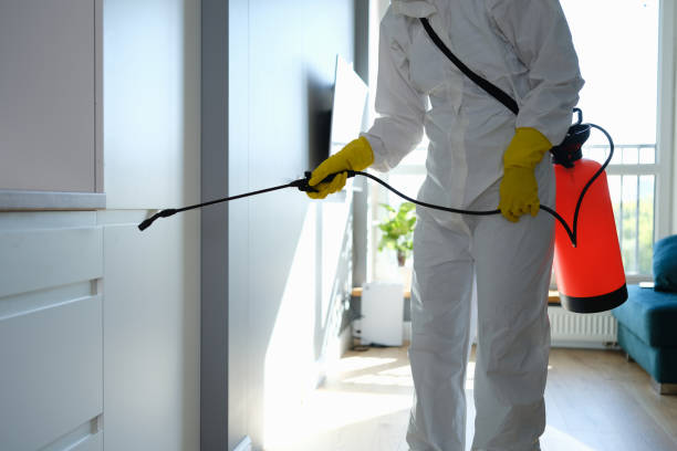 Best Commercial Mold Remediation in Tye, TX