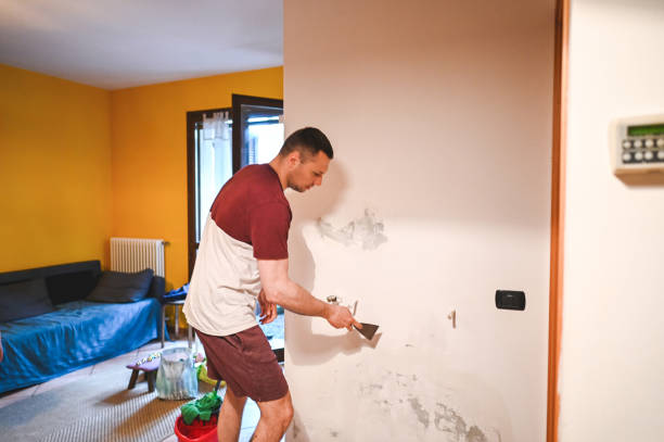 Best Post-Remediation Services in Tye, TX