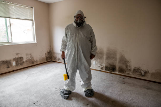 Best Residential Mold Remediation in Tye, TX